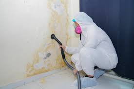  Jennings, LA Mold Prevention & Removal Pros